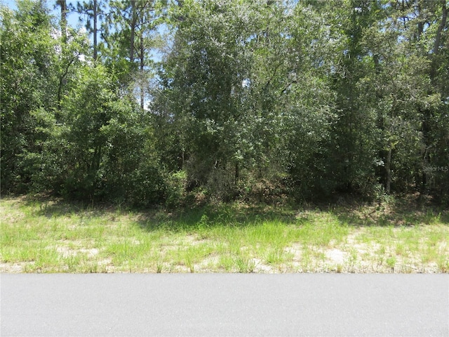 00 SW 132nd Pl, Ocala, FL 34473 - photo 1