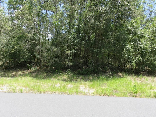 00 SW 132nd Pl, Ocala, FL 34473 - photo 3