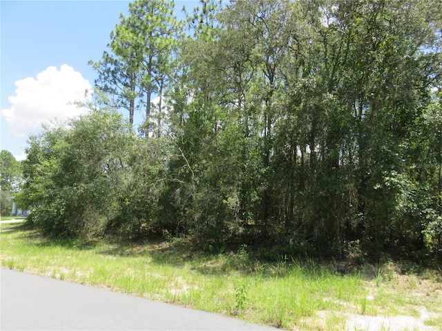 00 SW 132nd Pl, Ocala, FL 34473 - photo 4