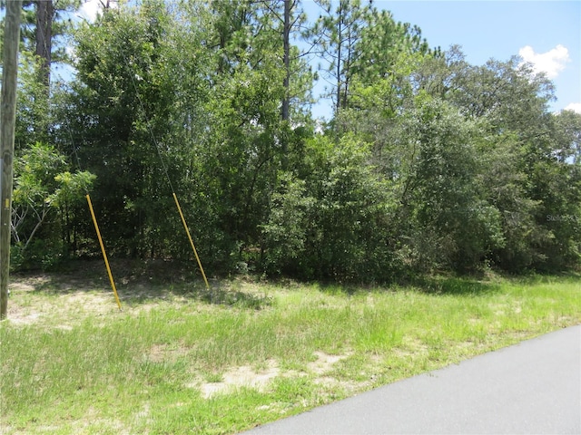 00 SW 132nd Pl, Ocala, FL 34473 - photo 5