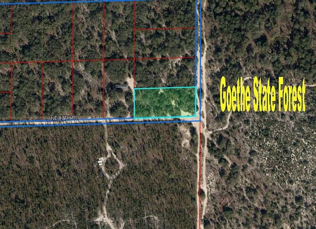 TBD NE 87th Pl, Bronson, FL 32621 - photo 1
