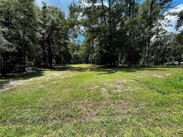 TBD Lake View Dr W, Ocala, FL 34482 - photo 1