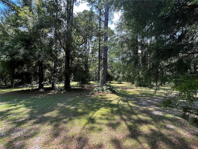 TBD Lake View Dr W, Ocala, FL 34482 - photo 2