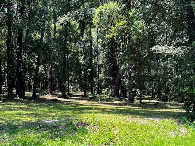 TBD Lake View Dr W, Ocala, FL 34482 - photo 5