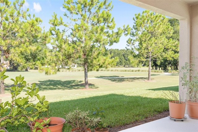 4974 39th Loop, Ocala, FL 34482 - photo 57