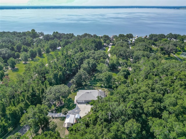 12750 SE 119th Ct, Ocklawaha, FL 32179 - photo 58