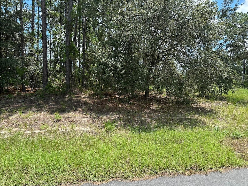 TBD SW 60th Ter, Ocala, FL 34471 - photo 4