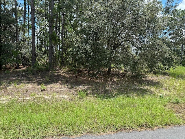 TBD SW 60th Ter, Ocala, FL 34471 - photo 4