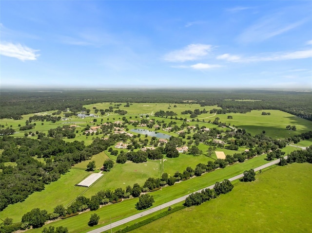 12345 SW 140th Loop, Dunnellon, FL 34432 - photo 73