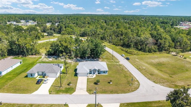 8695 SW 133rd Lane Rd, Ocala, FL 34473 - photo 62
