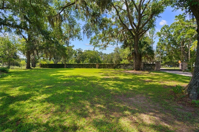 3261 SE 41st Pl, Ocala, FL 34480 - photo 4