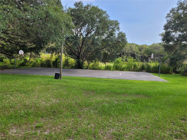 LOT14 SW Viola Ct, Dunnellon, FL 34431 - photo 19