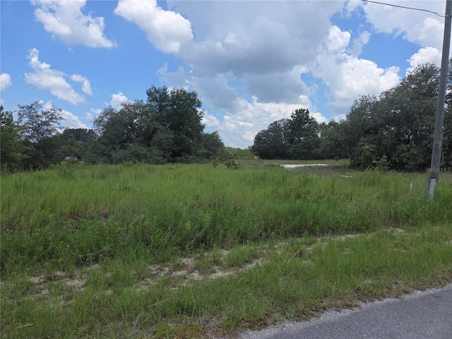 LOT14 SW Viola Ct, Dunnellon, FL 34431 - photo 1