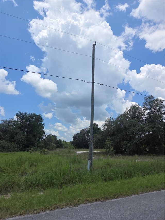 LOT14 SW Viola Ct, Dunnellon, FL 34431 - photo 2