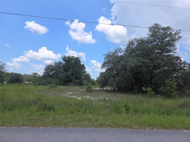 LOT14 SW Viola Ct, Dunnellon, FL 34431 - photo 3
