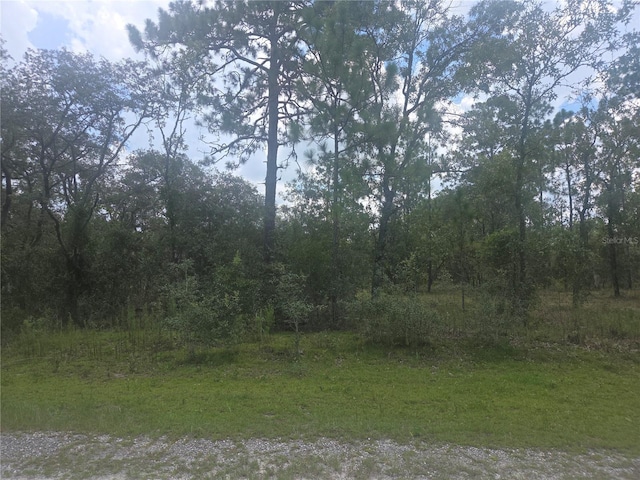 LOT3 SE 129th Ct, Dunnellon, FL 34431 - photo 1