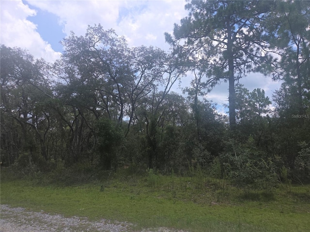 LOT3 SE 129th Ct, Dunnellon, FL 34431 - photo 3