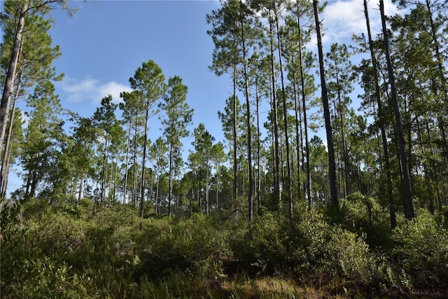 0 OFF SE 30th St, Inglis, FL 34449 - photo 1