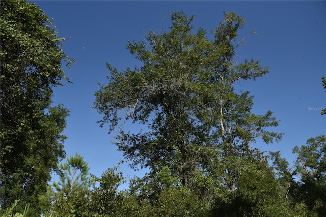 0 OFF SE 30th St, Inglis, FL 34449 - photo 2