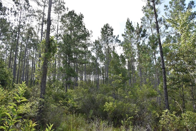 0 OFF SE 30th St, Inglis, FL 34449 - photo 4