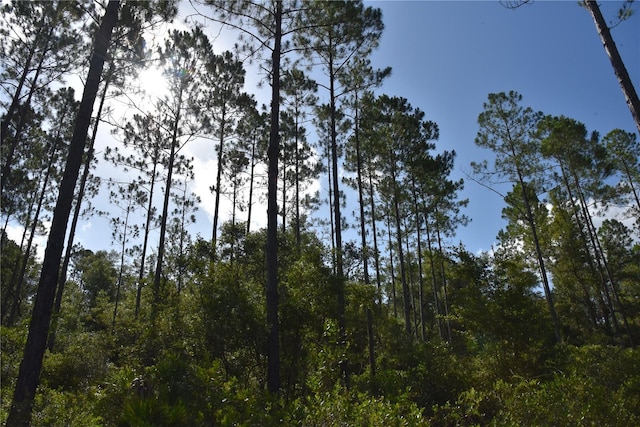0 OFF SE 30th St, Inglis, FL 34449 - photo 5