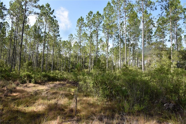 0 OFF SE 30th St, Inglis, FL 34449 - photo 6