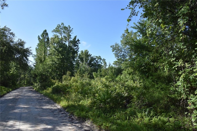 0 OFF SE 30th St, Inglis, FL 34449 - photo 9