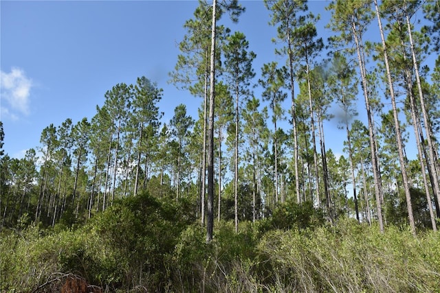 0 OFF SE 30th St, Inglis, FL 34449 - photo 10