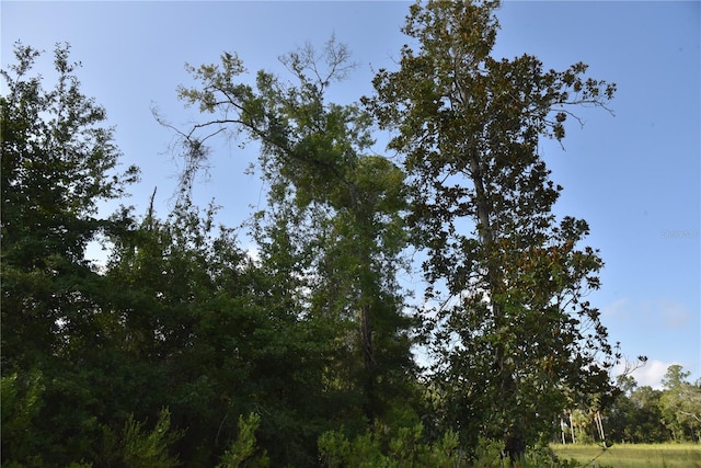 0 OFF SE 30th St, Inglis, FL 34449 - photo 11
