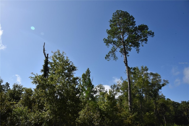 0 OFF SE 30th St, Inglis, FL 34449 - photo 12