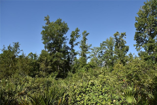0 OFF SE 30th St, Inglis, FL 34449 - photo 13