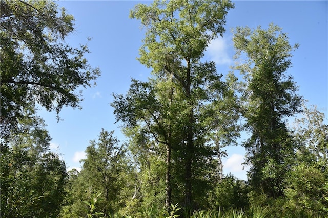 0 OFF SE 30th St, Inglis, FL 34449 - photo 14