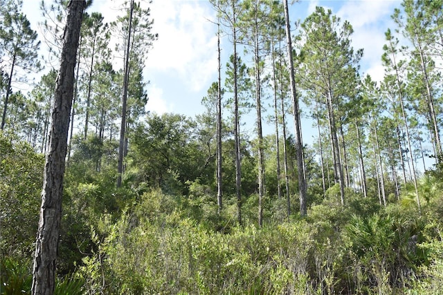 0 OFF SE 30th St, Inglis, FL 34449 - photo 15