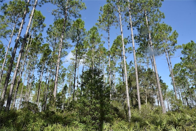 0 OFF SE 30th St, Inglis, FL 34449 - photo 16