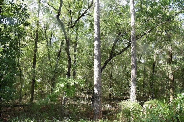0 OFF SE 30th St, Inglis, FL 34449 - photo 17