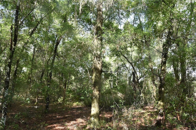 0 OFF SE 30th St, Inglis, FL 34449 - photo 18