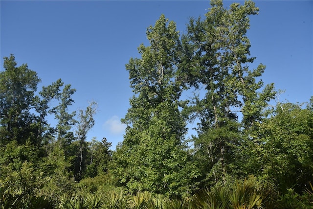 0 OFF SE 30th St, Inglis, FL 34449 - photo 19