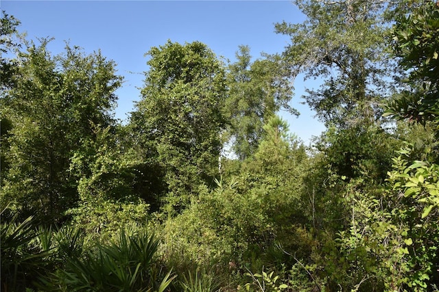 0 OFF SE 30th St, Inglis, FL 34449 - photo 20