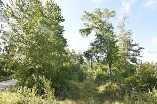 0 OFF SE 30th St, Inglis, FL 34449 - photo 21