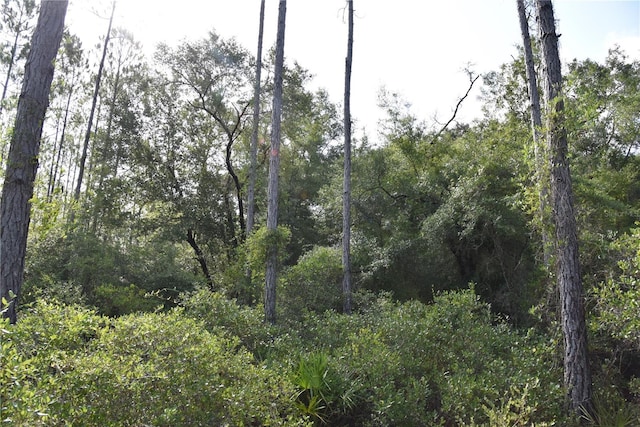 0 OFF SE 30th St, Inglis, FL 34449 - photo 22
