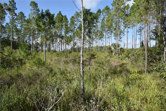 0 OFF SE 30th St, Inglis, FL 34449 - photo 23