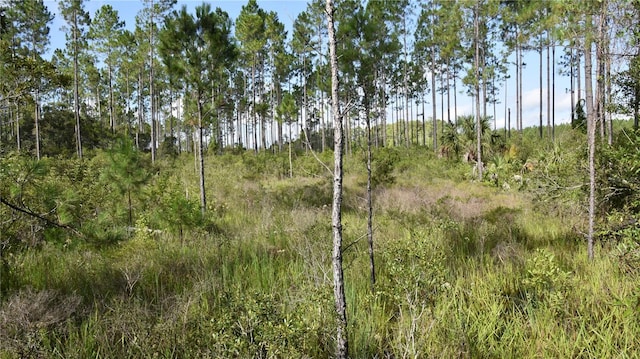 0 OFF SE 30th St, Inglis, FL 34449 - photo 24