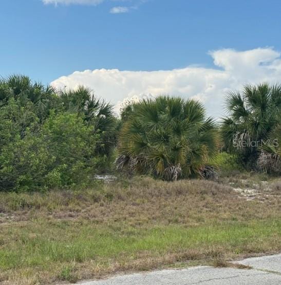 320 Kansas Ter, Labelle, FL 33935 - photo 1