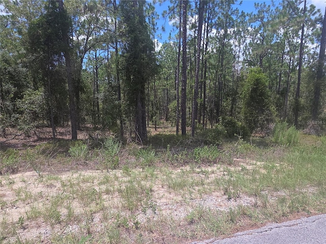 LOT34 SE 128th Ave, Dunnellon, FL 34431 - photo 1