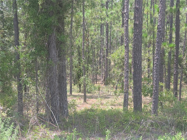 LOT34 SE 128th Ave, Dunnellon, FL 34431 - photo 2