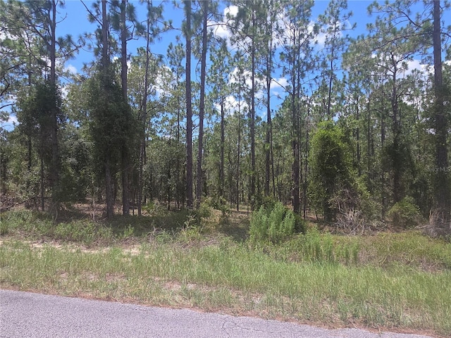 LOT34 SE 128th Ave, Dunnellon, FL 34431 - photo 3