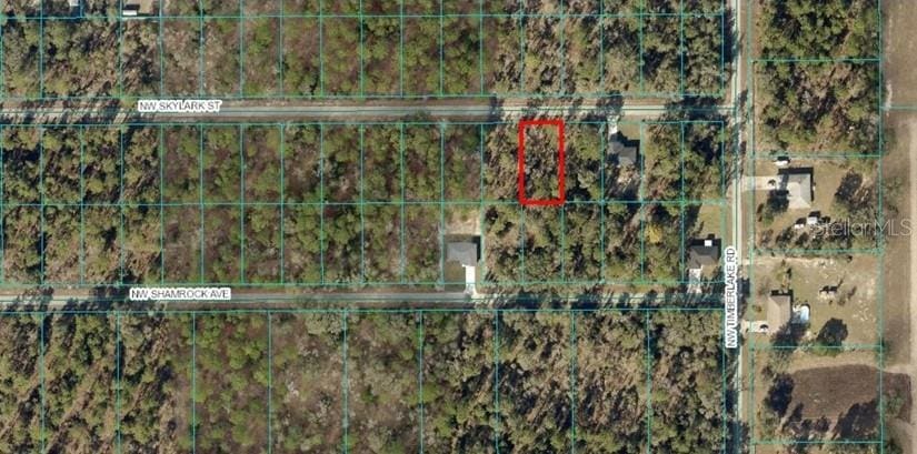 TBA NW Skylark St, Dunnellon, FL 34431 - photo 1