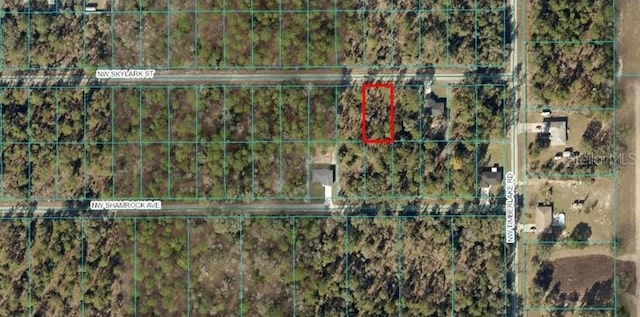 TBA NW Skylark St, Dunnellon, FL 34431 - photo 1