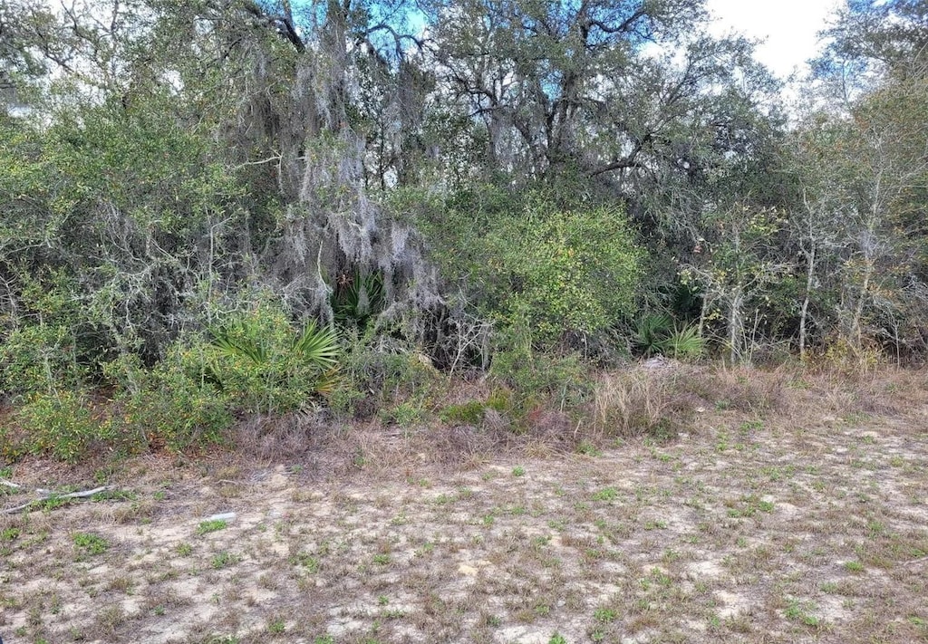 TBD SW 100th St, Ocala, FL 34476 - photo 2