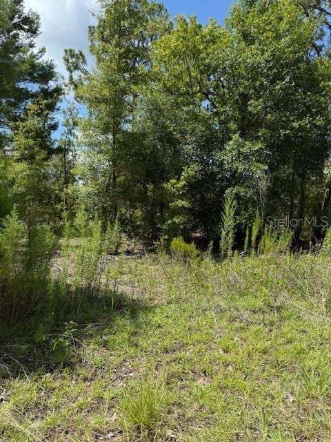 115 S Dakota St, Hawthorne, FL 32640 - photo 3